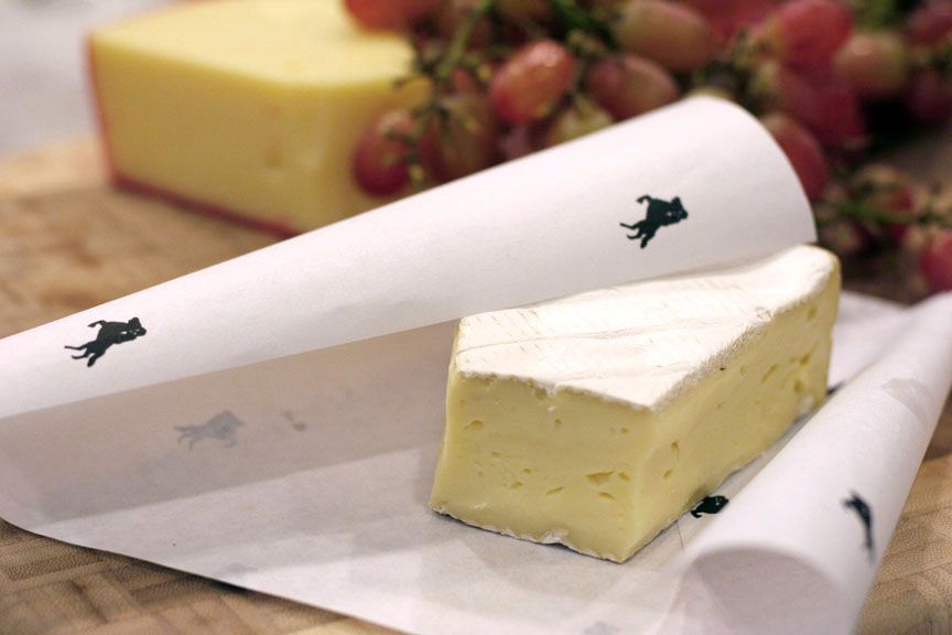 Everything You Need to Know About Custom Cheese Paper and Its Benefits