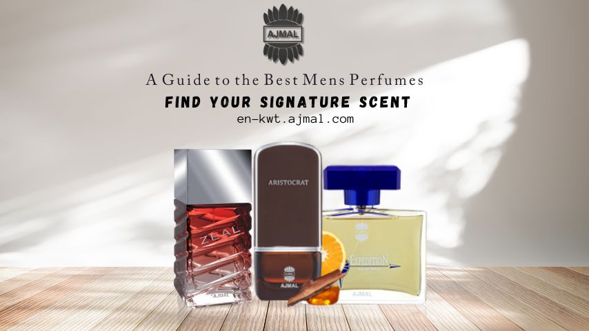 A Guide to the Best Mens Perfumes Find Your Signature Scent