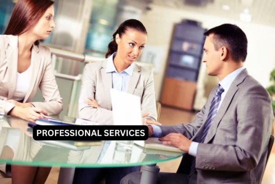 PROFESSIONAL SERVICES