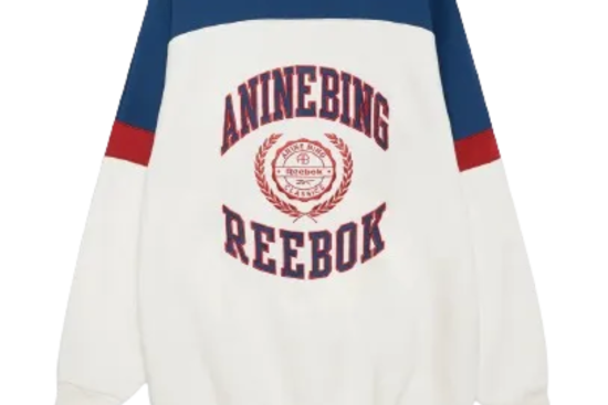 Anine-Bing-Reebok-Sweatshirt