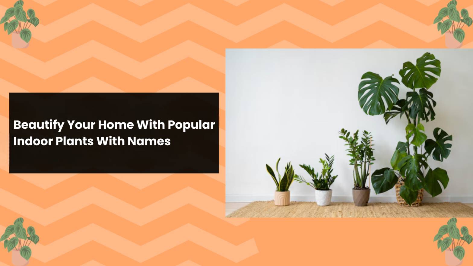 Beautify Your Home With Popular Indoor Plants With Names