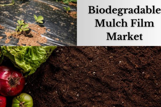 Biodegradable Mulch Film Market