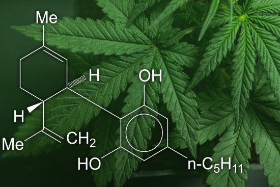 Cannabidiol_CBD_CU_05_1600x900