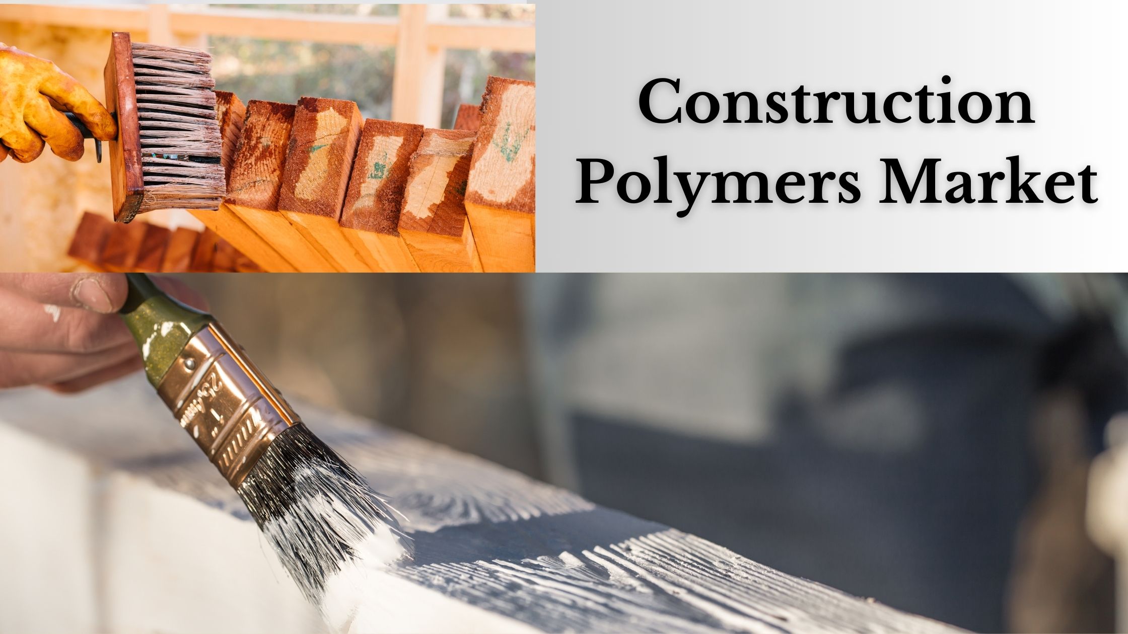 Construction Polymers Market