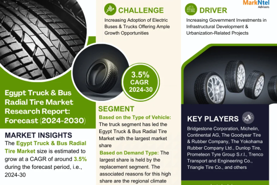 Egypt Truck & Bus Radial Tire Market Research Report Forecast (2024-2030)