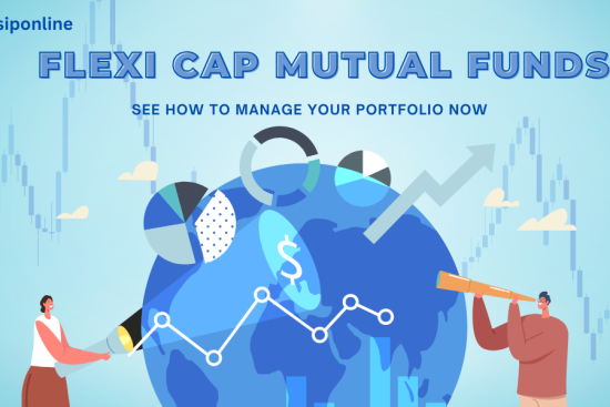 Flexi Cap Mutual Funds See How to Manage Your Portfolio Now