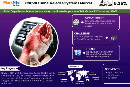 Global Carpal Tunnel Release Systems Market Research Report Forecast (2024-2030)