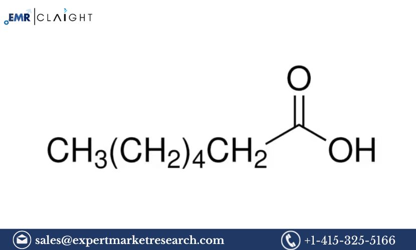 Heptanoic Acid Manufacturing Plant Project Report