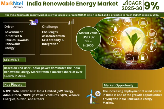 India Renewable Energy Market Research Report Forecast (2025-2030)