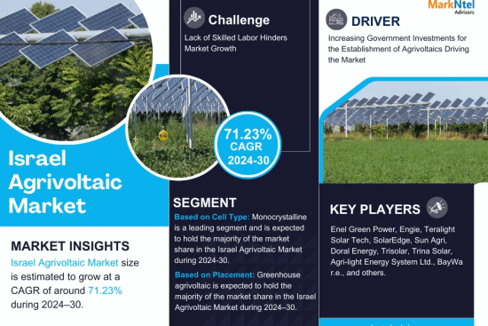 Israel Agrivoltaic Market Research Report Forecast (2024-2030)