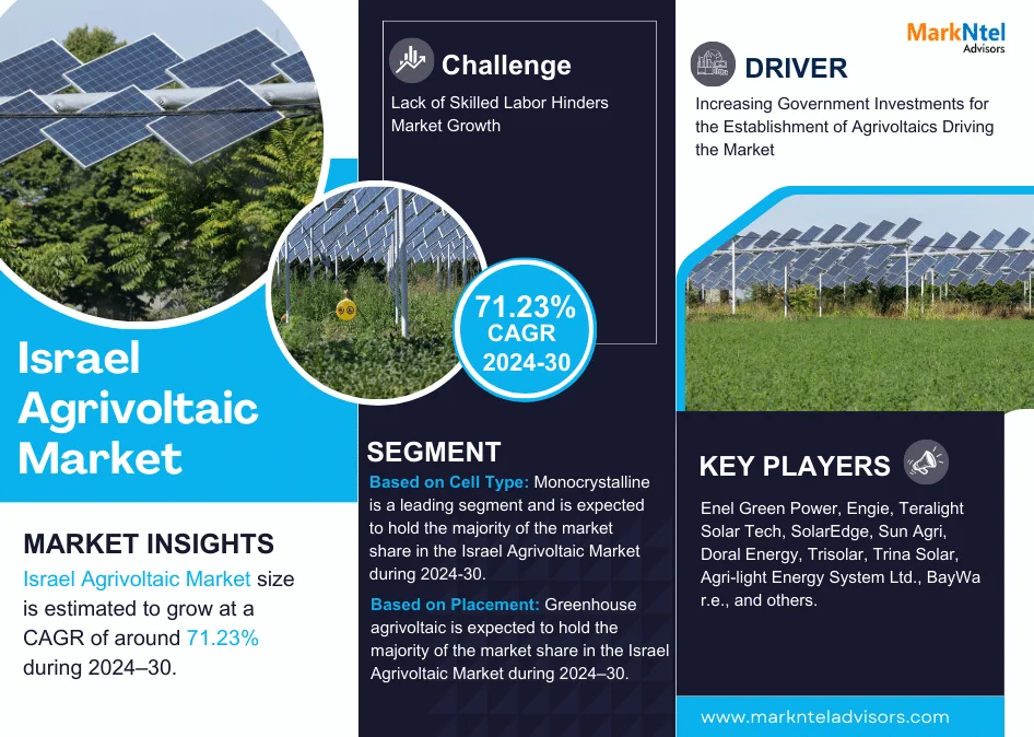 Israel Agrivoltaic Market Research Report Forecast (2024-2030)