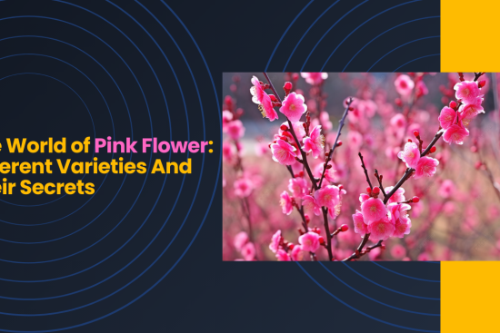 The World of Pink Flower Different Varieties And Their Secrets