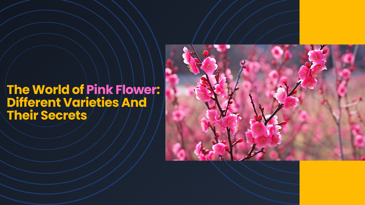 The World of Pink Flower Different Varieties And Their Secrets