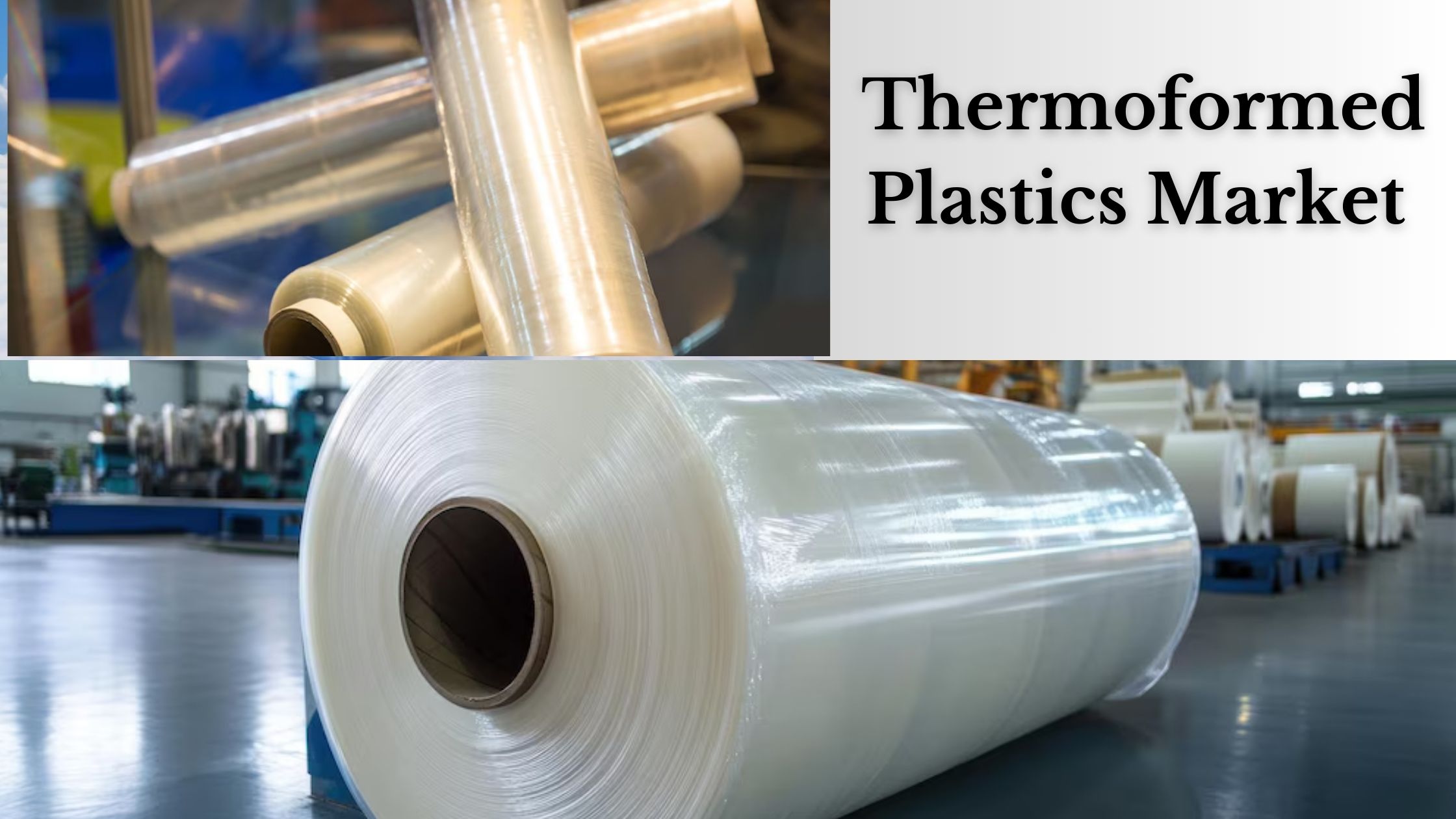 Thermoformed Plastics Market