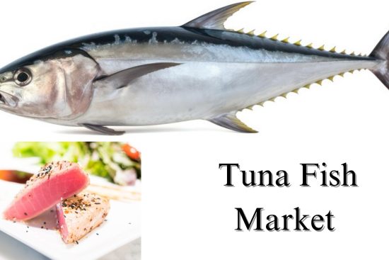 Tuna Fish Market