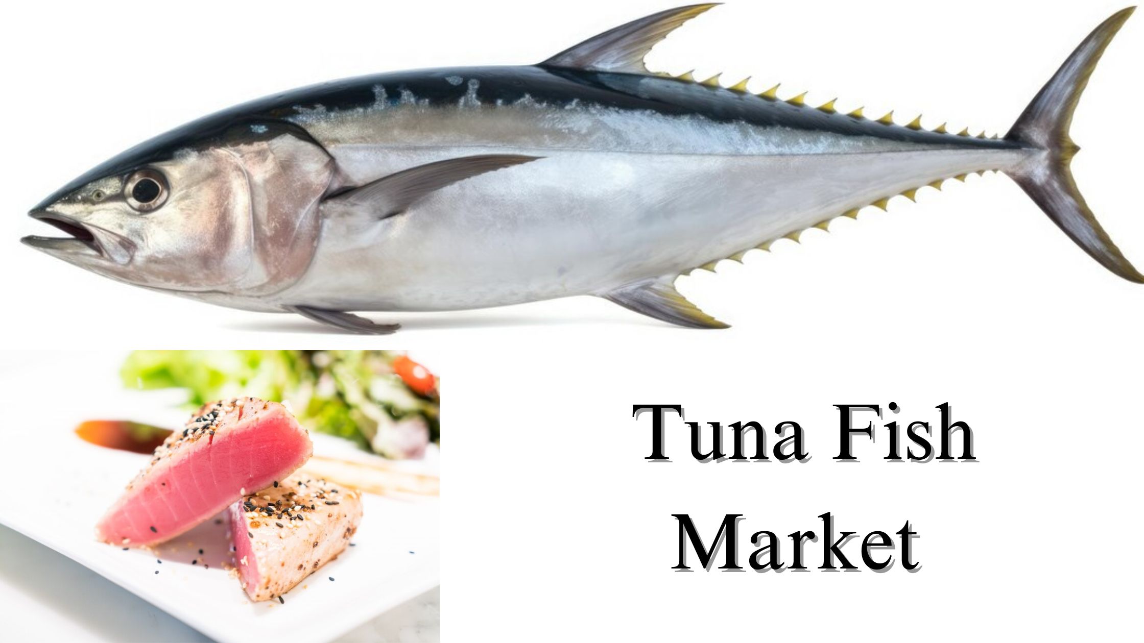 Tuna Fish Market