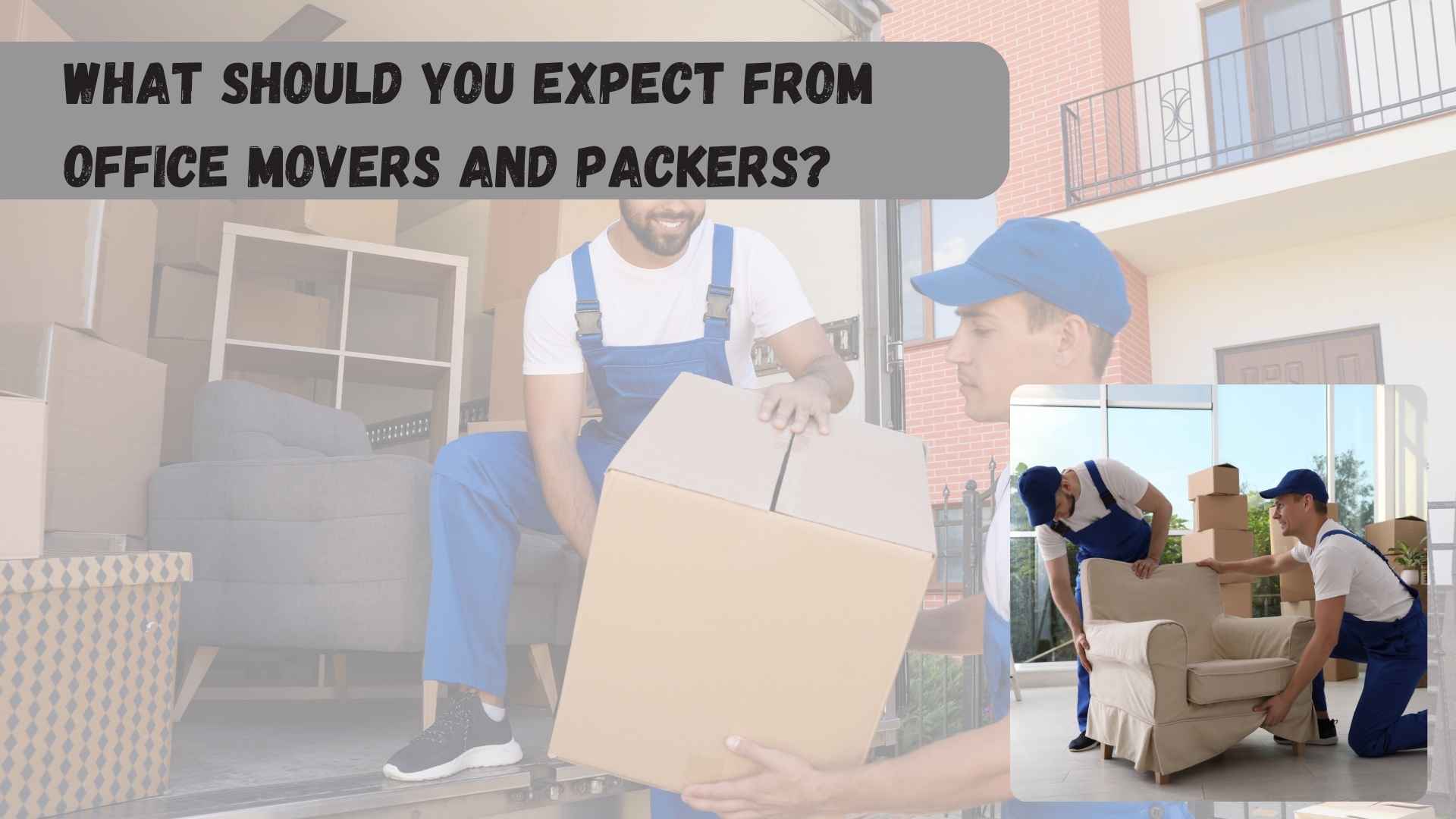 What Should You Expect from Office Movers and Packers