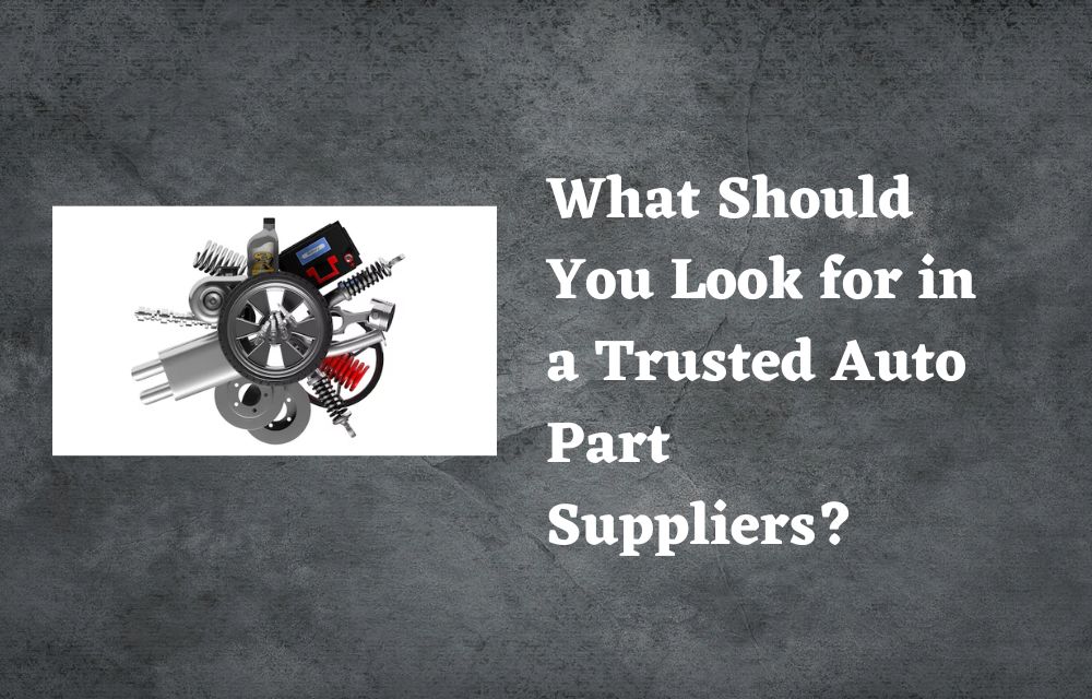 What Should You Look for in a Trusted Auto Part Suppliers