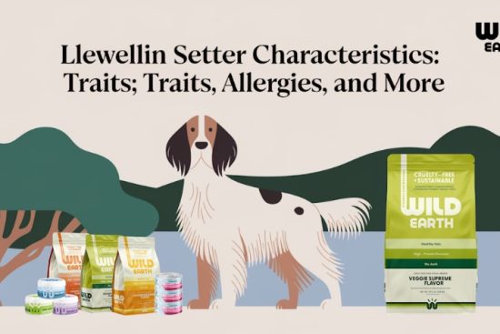 best skin supplements for dogs