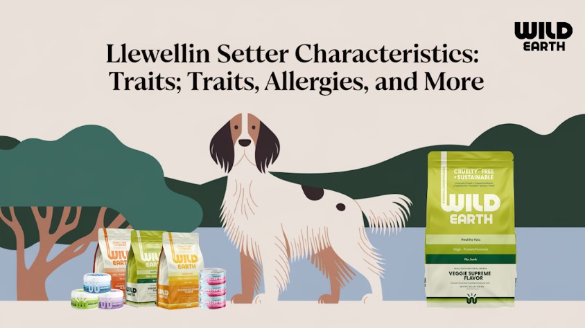 best skin supplements for dogs