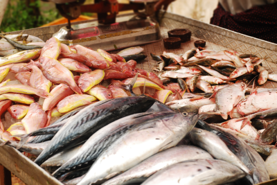 australia-fish-market