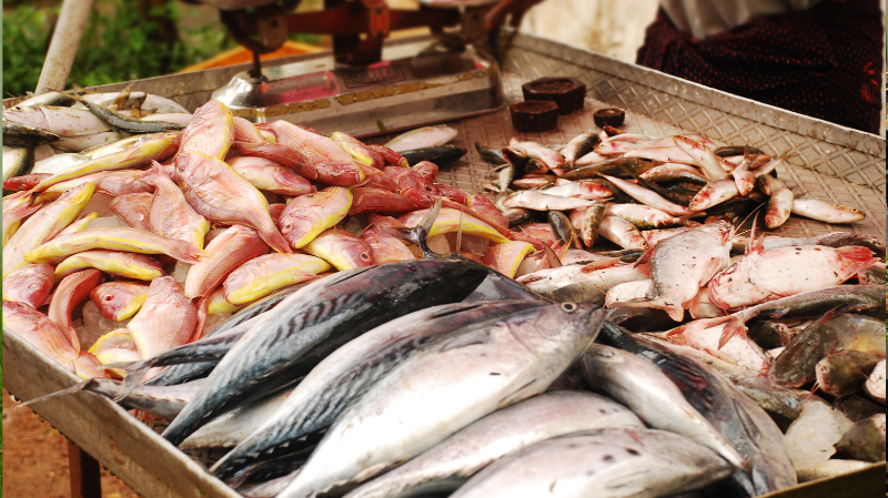 australia-fish-market