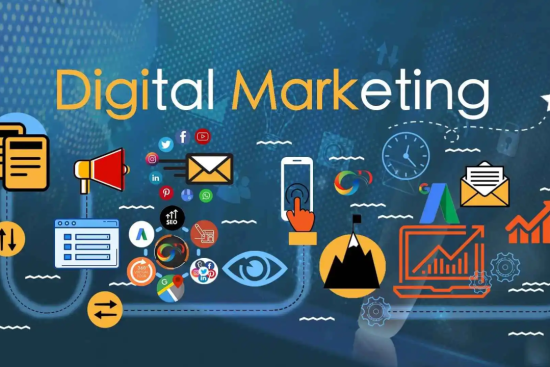 digital marketing insights