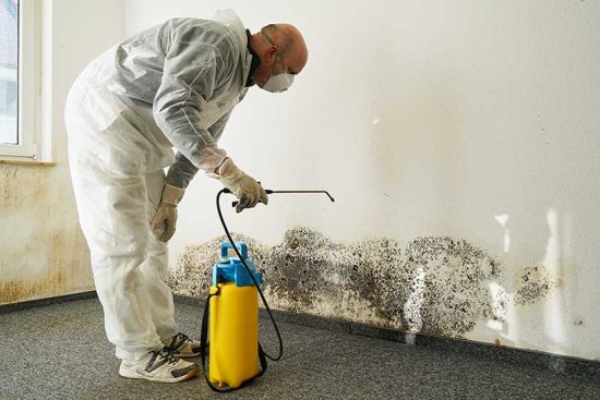 mold-removal