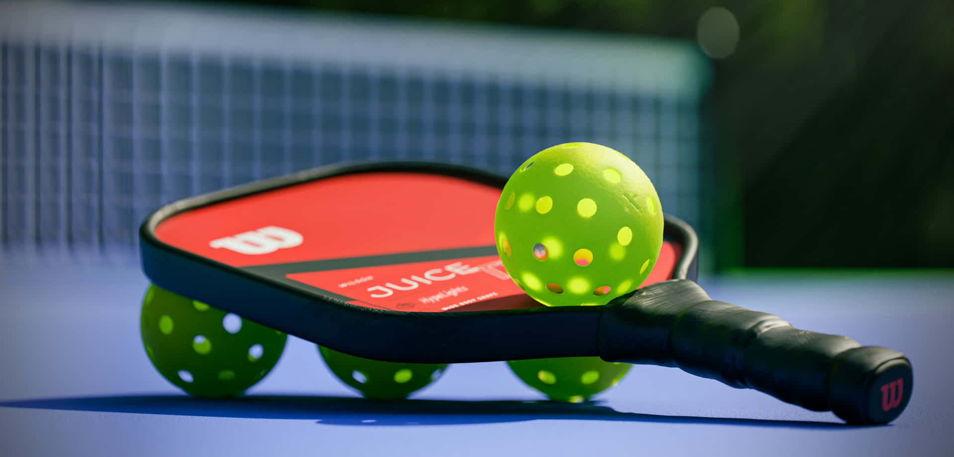 professional pickleball game