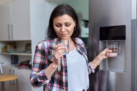 Fridge water filter