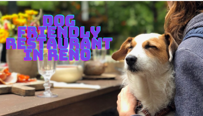 Dog Friendly Restaurant in Reno