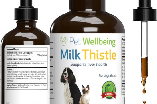 milk thistle supplement for dogs