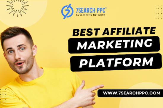 Affiliate Marketing Platform (5)