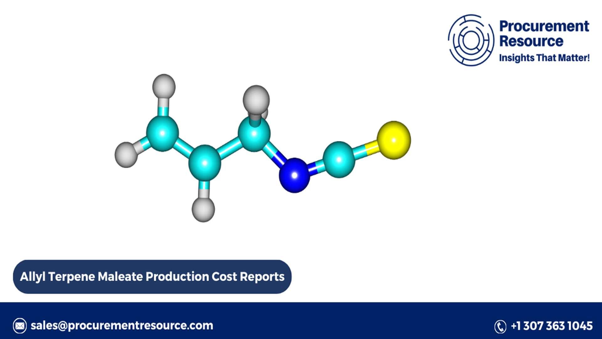 Allyl Terpene Maleate Production Cost Reports