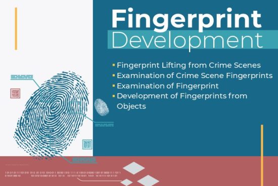 Fingerprint Development