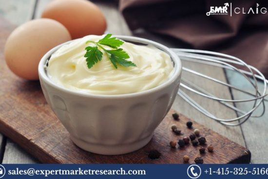 India Mayonnaise Market (1)