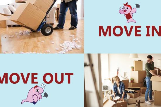 MOVE_IN_MOVE_OUT-2