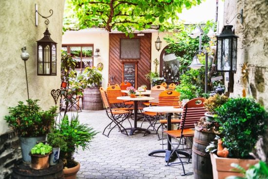 Transform Your Restaurant Ambiance with Decorative Plants in Pune