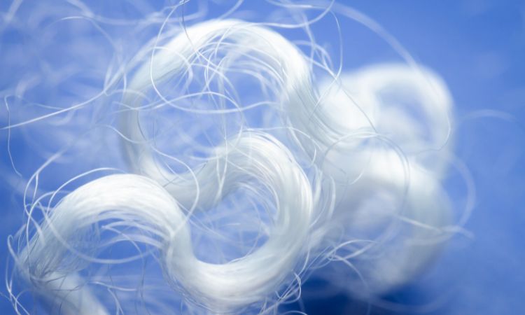 Polyester Fibre Market