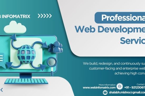 Webinfo development 9