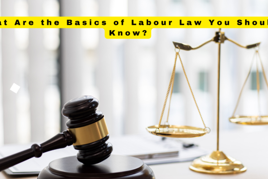 What Are the Basics of Labour Law You Should Know