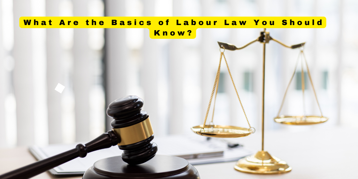 What Are the Basics of Labour Law You Should Know